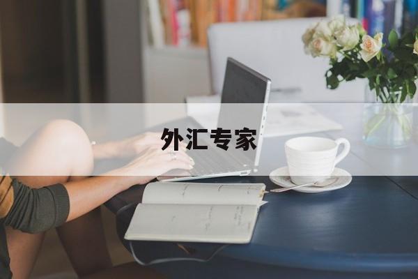 外汇专家(外汇专家坐堂实录)